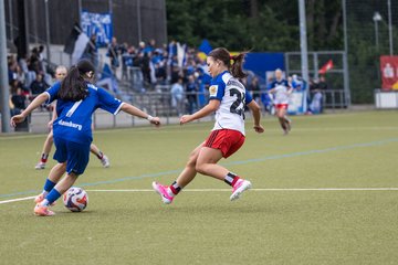 Bild 314 - wBJ Hamburger SV - FC Suederelbe : Ergebnis: 9:0